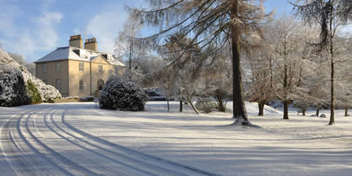 Home -christmas