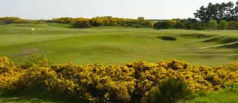 Golf -glasgow -gailes