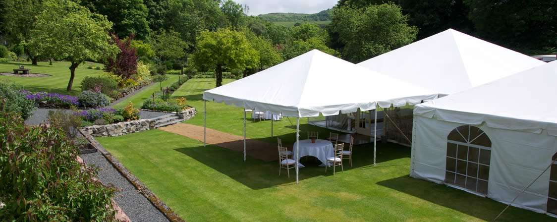 Wedding5