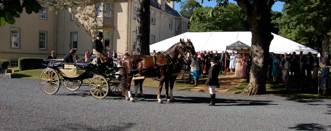 Wedding6