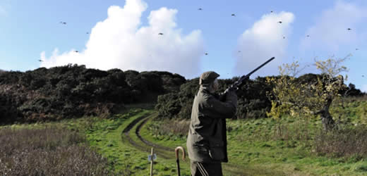 shooting and fishing