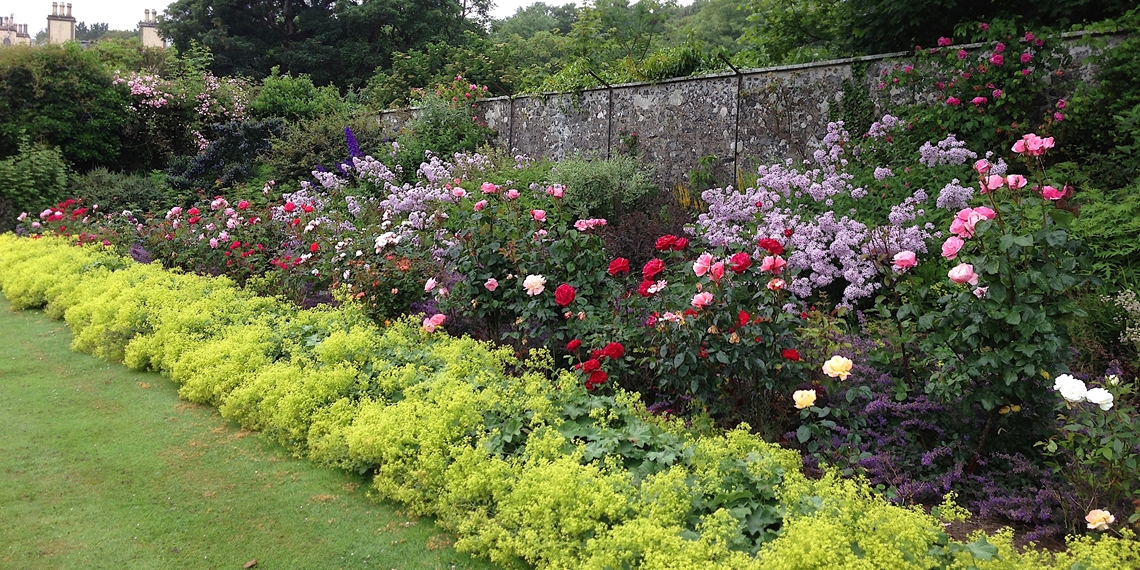 Rose Garden