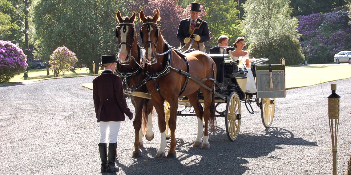 Horse And Carriage